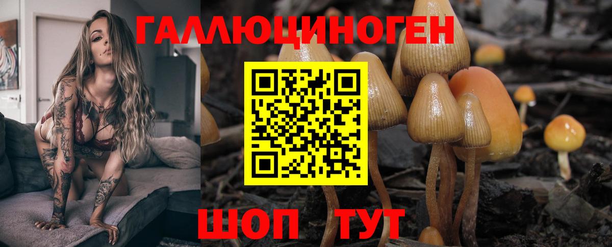 Среднеуральск  Псилоцибиновые грибы Cubensis  цена наркотик  Вход с VPN 